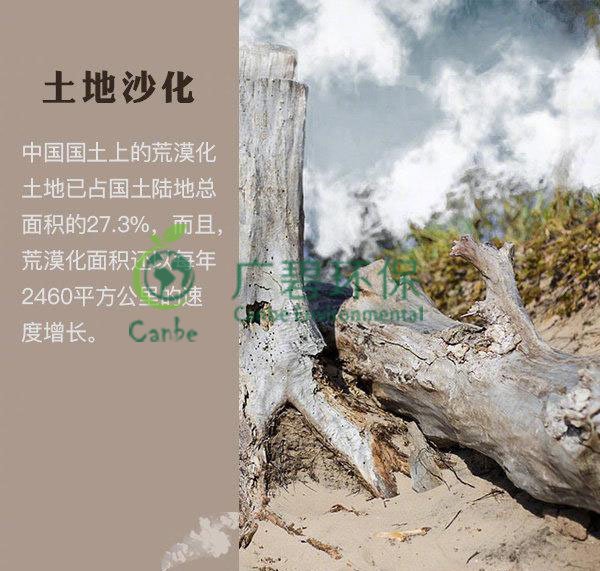 世界地球日 我們能為地球做些什么？(圖4)