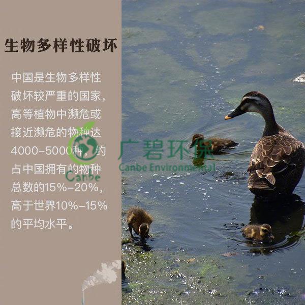 世界地球日 我們能為地球做些什么？(圖6)