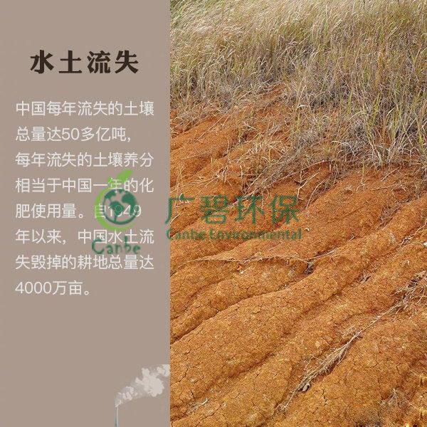世界地球日 我們能為地球做些什么？(圖7)