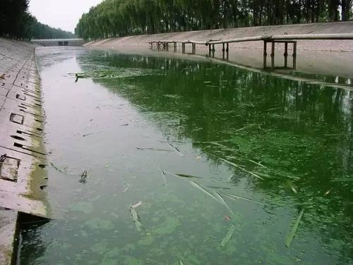 城市黑臭河道如何治理？河道黑臭水體治理思路(圖1)