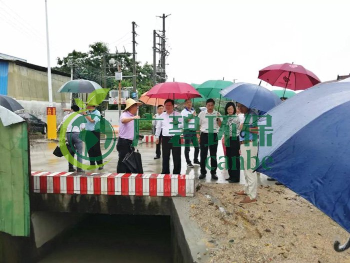 佛山推進(jìn)水污染防治問題整改，虛假整改將被問責(zé)！(圖2)