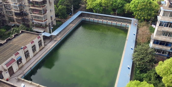 游泳池水變綠是什么原因？游泳池水處理方法