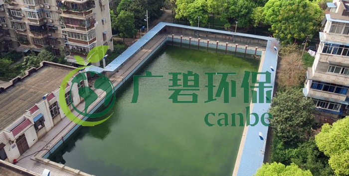 游泳池水變綠是什么原因？游泳池水處理方法(圖1)