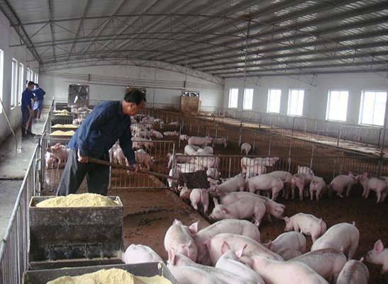 什么是養(yǎng)殖廢水？養(yǎng)殖廢水處理工藝