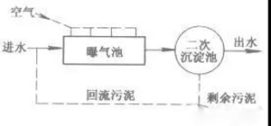 活性污泥是什么？活性污泥降解污水過程(圖1)