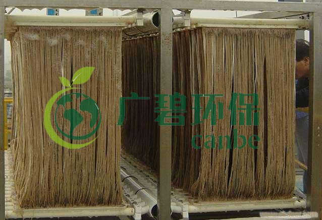 MBR污泥膨脹怎么處理？污泥膨脹的處理方法(圖1)