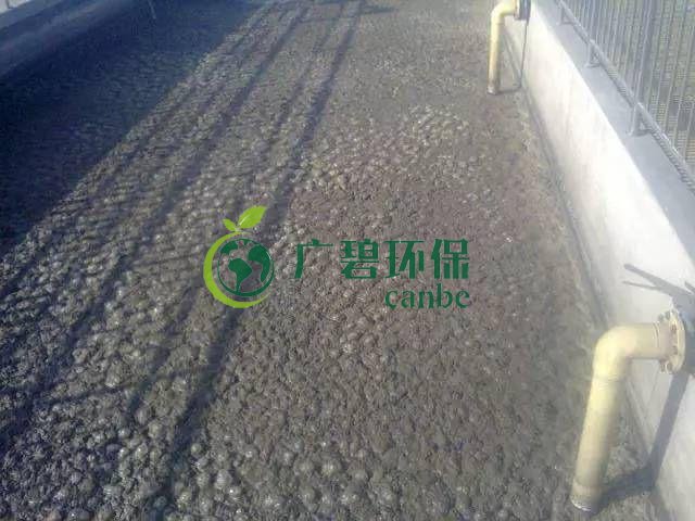 污泥發(fā)黑是什么原因造成？污泥發(fā)黑經(jīng)驗分享(圖1)