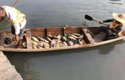 廣州旺旺食品廢水直排，永和河大量魚類死亡