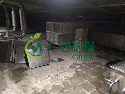 廣州旺旺食品廢水直排，永和河大量魚類死亡(圖3)