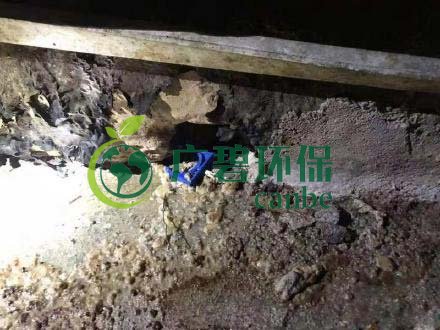 廣州旺旺食品廢水直排，永和河大量魚類死亡(圖4)
